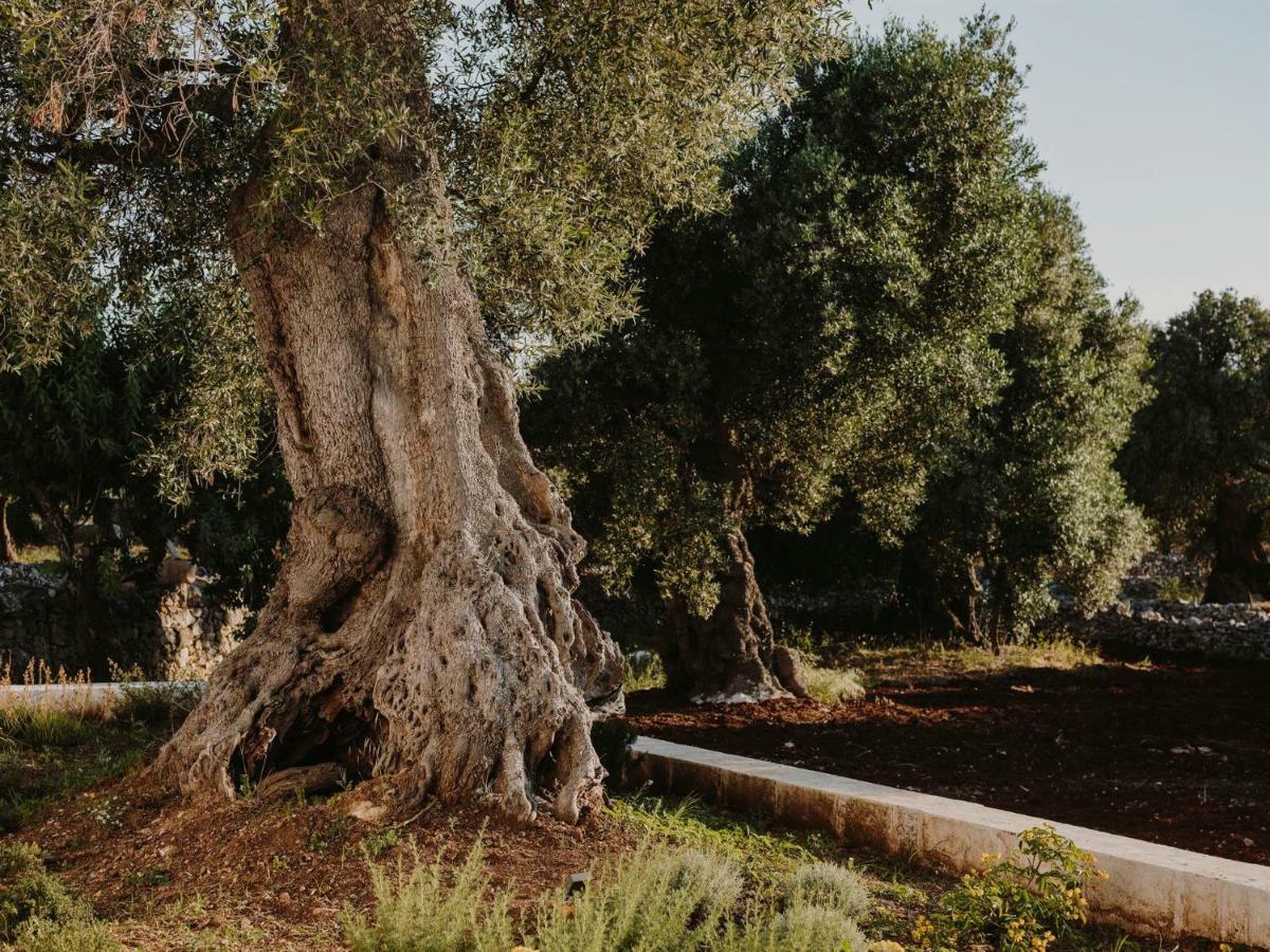 Masseria Dagilupi Ostuni Bagian luar foto